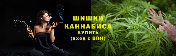 ПСИЛОЦИБИНОВЫЕ ГРИБЫ Баксан