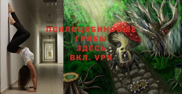 герыч Алексеевка