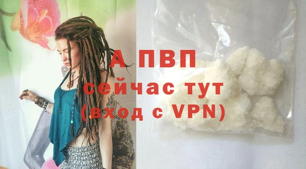 крисы Алексин